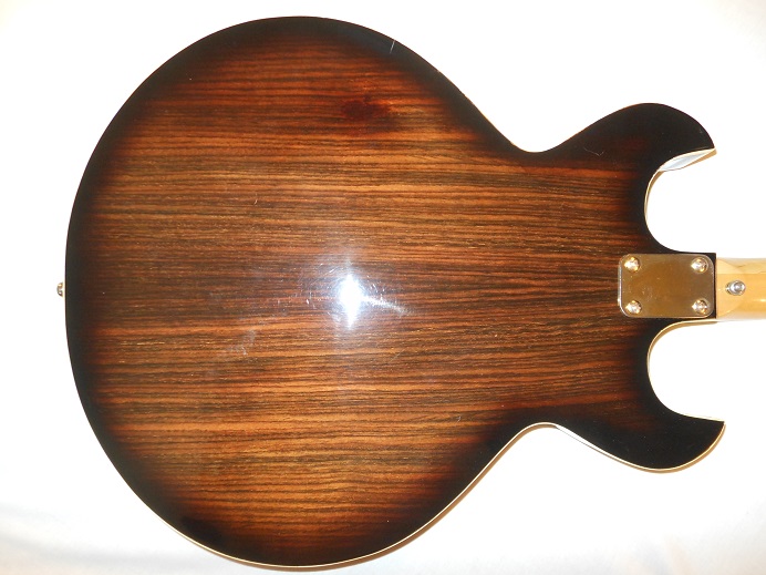HollowBodyRosewood Picture 9